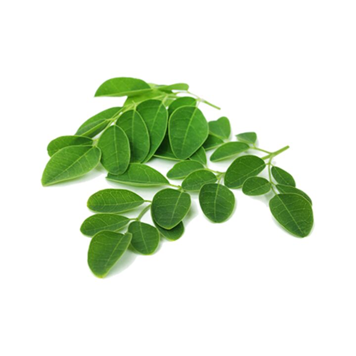 Normadex conține frunze de moringa - un remediu natural puternic împotriva paraziților